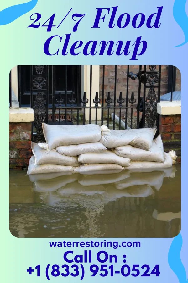 24/7 Flood Cleanup in Tenino, WA