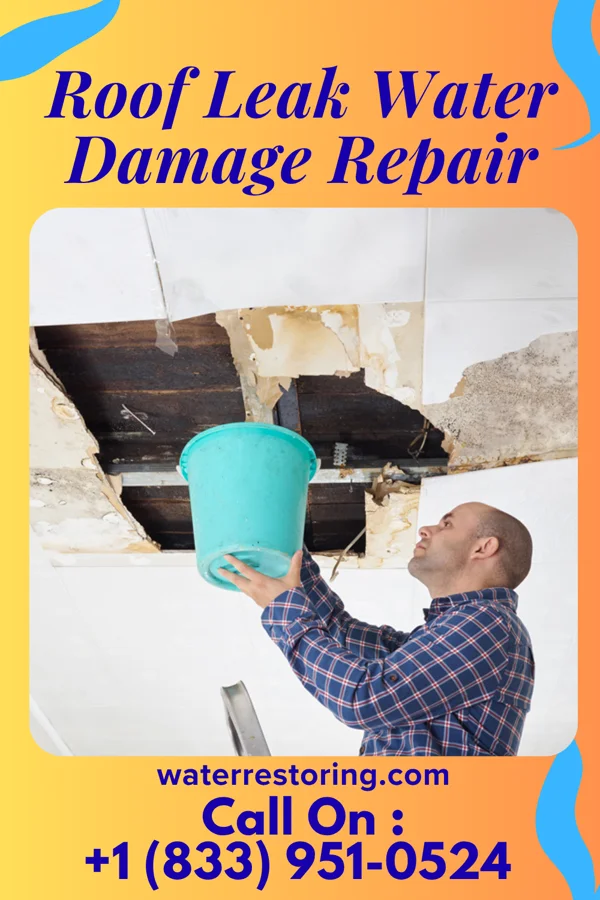 Roof Leak Water Damage Repair in Tenino, WA